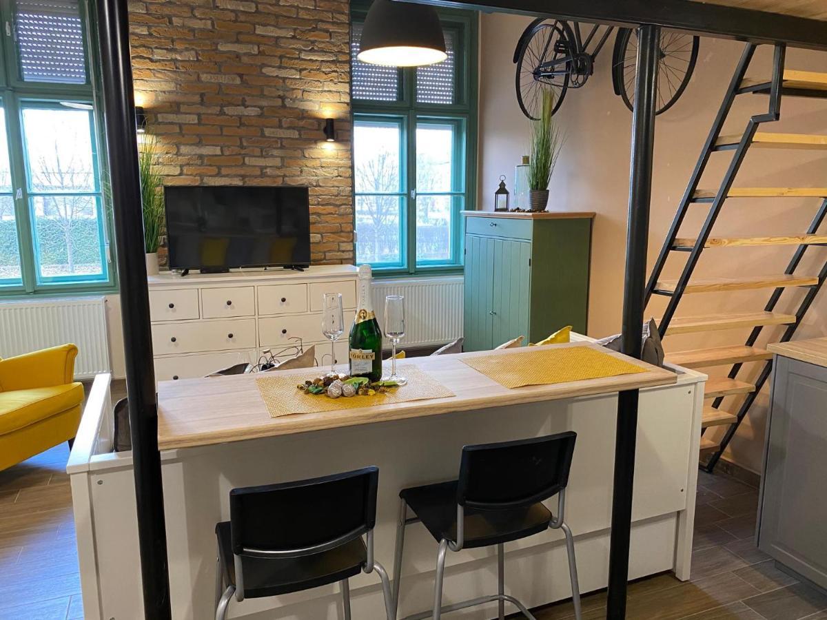 Pedal Apartman Szeged City Εξωτερικό φωτογραφία