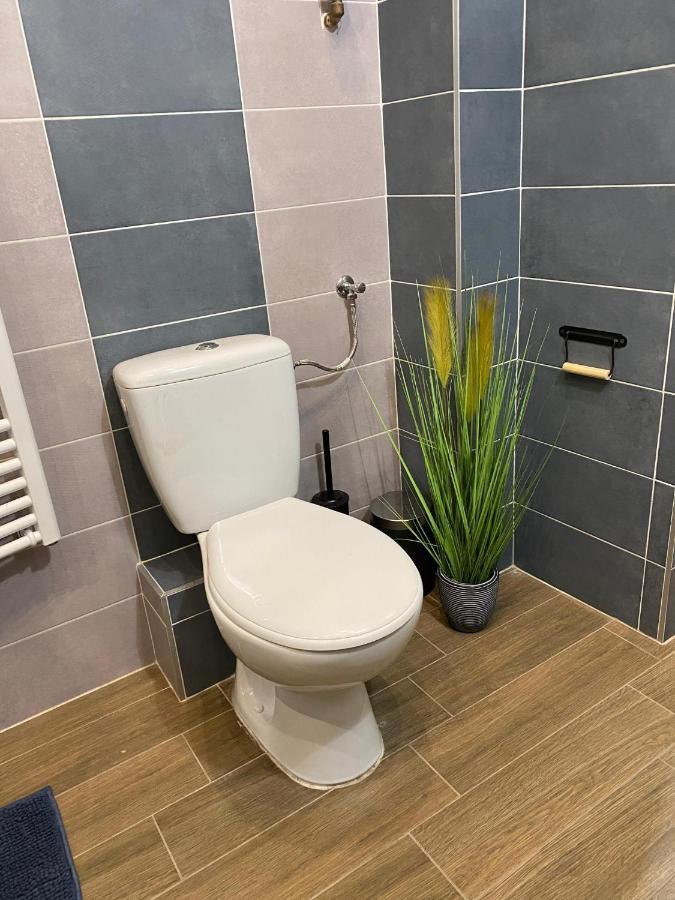 Pedal Apartman Szeged City Εξωτερικό φωτογραφία