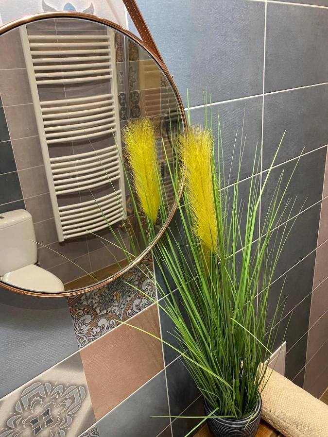 Pedal Apartman Szeged City Εξωτερικό φωτογραφία